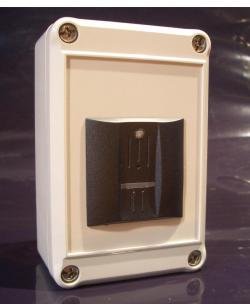 Biometrix fp-eGATE