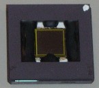 first photo of the FingerChip