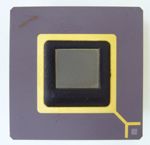 FingerChip